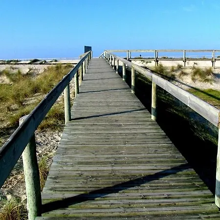 Moliceiro Aveiro