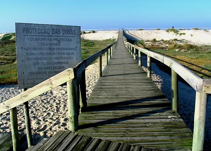 Отель Moliceiro