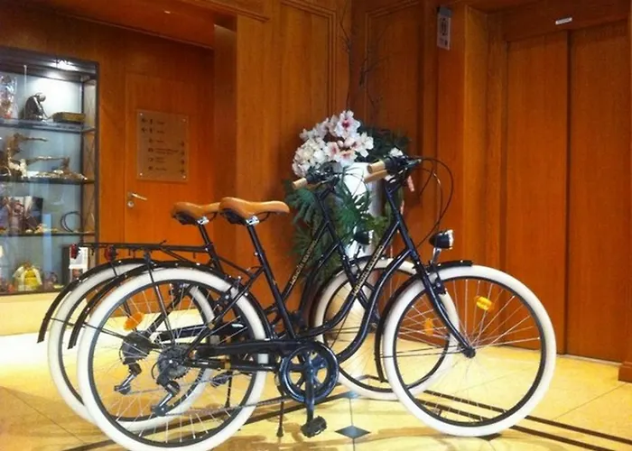 Moliceiro Отель 4*